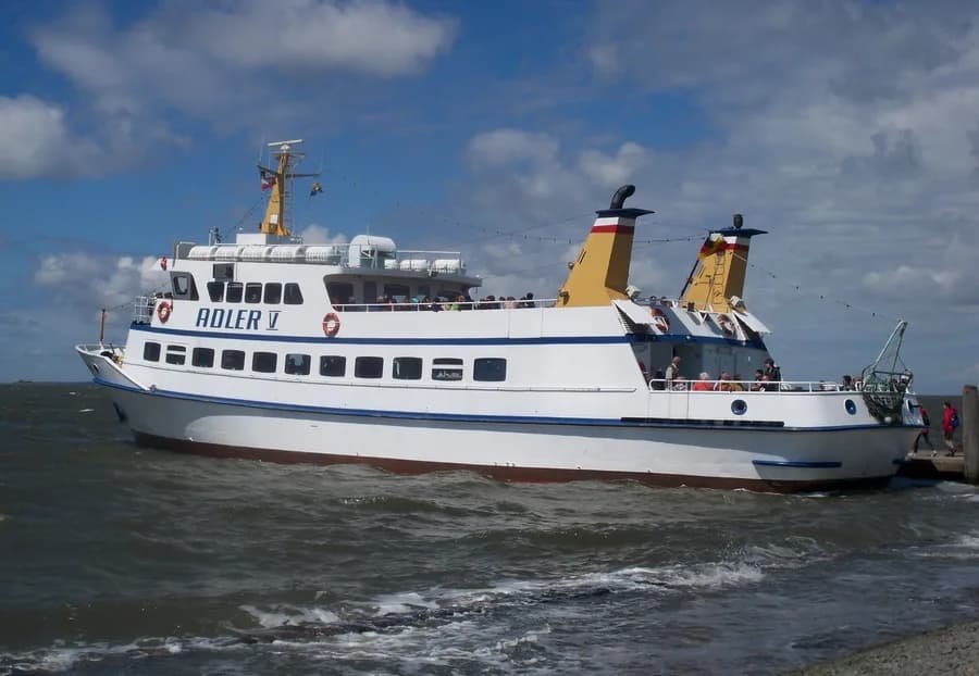 Adler V