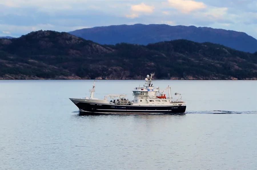 Fiskebas