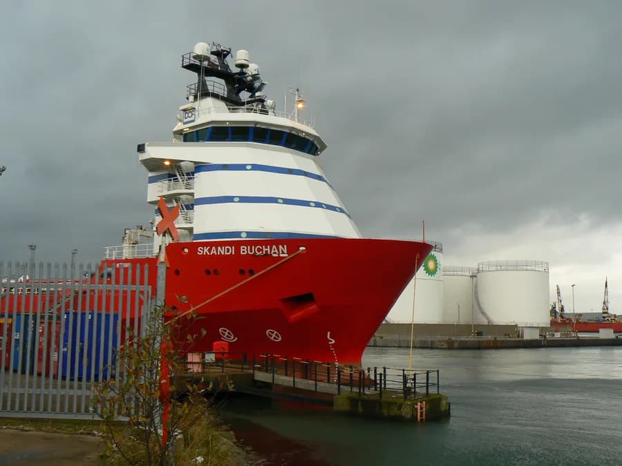 Skandi Buchan
