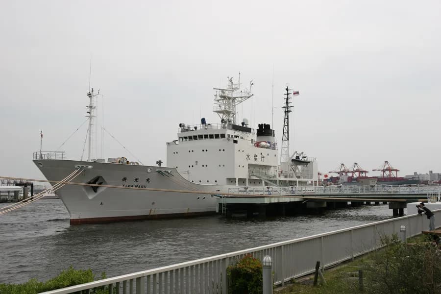 Toko Maru