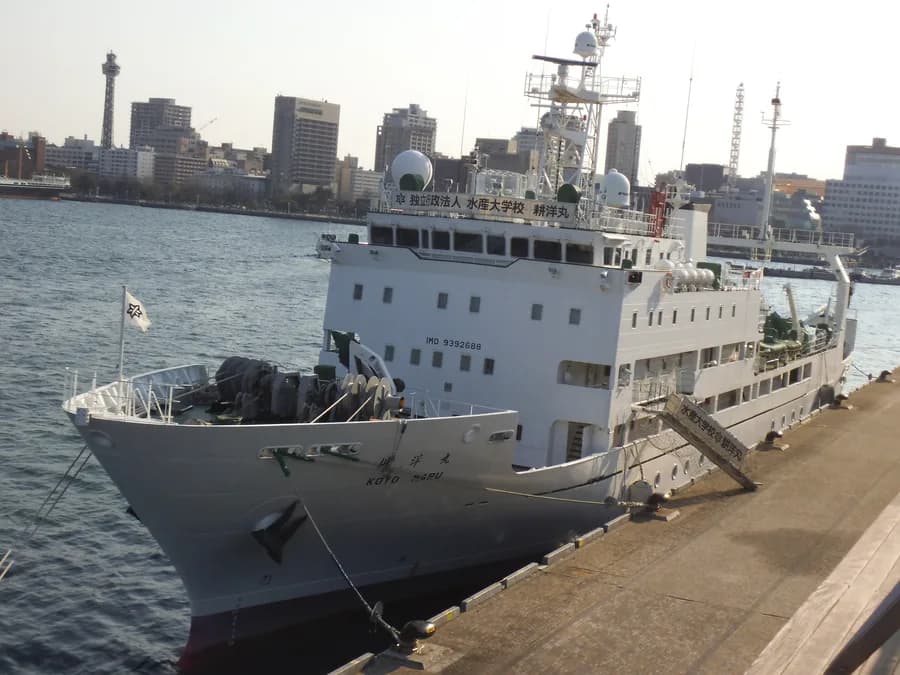 Koyo Maru