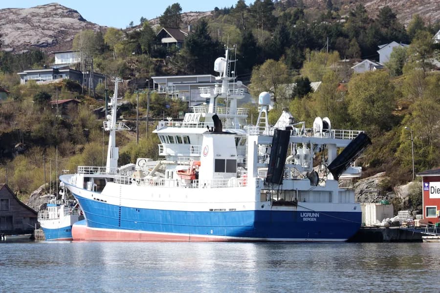 Ligrunn
