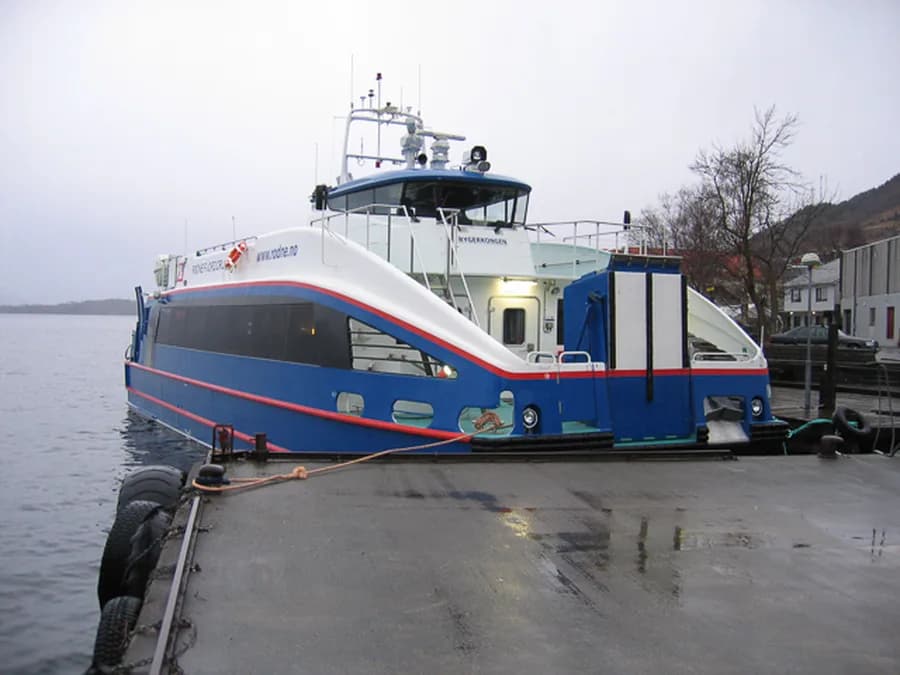 Rygerkongen