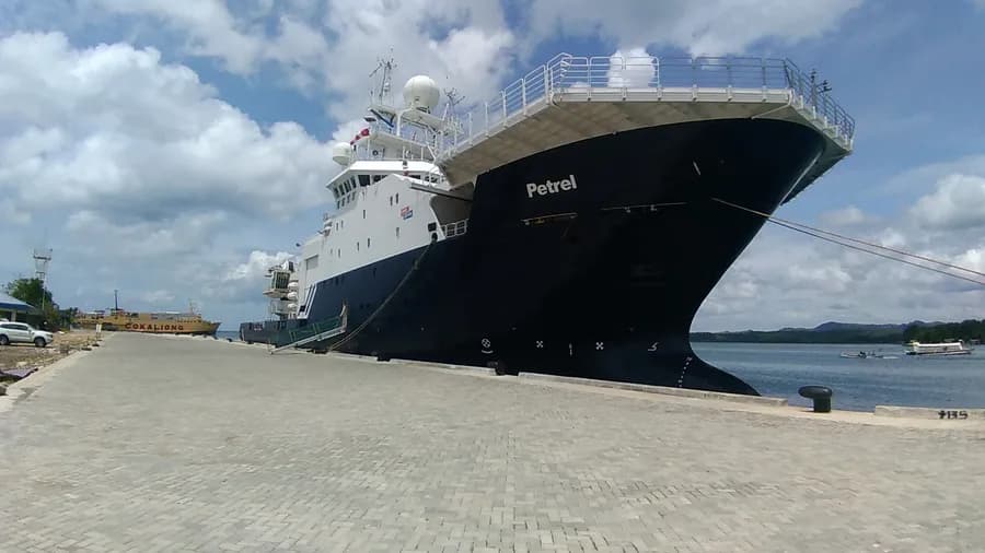 Petrel