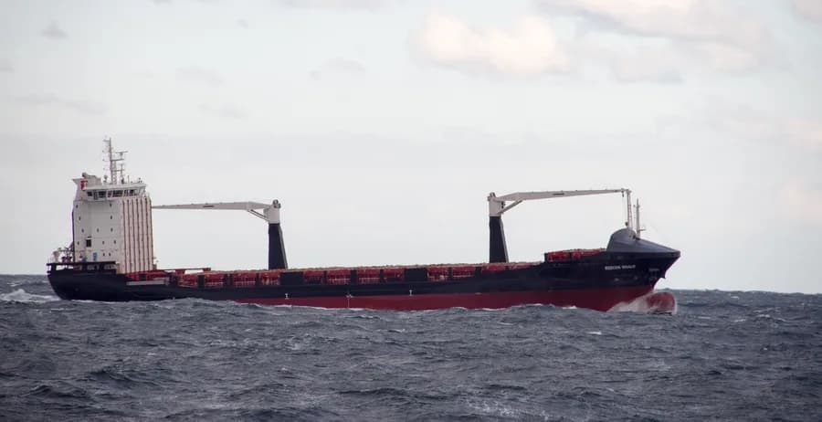 Reecon Whale