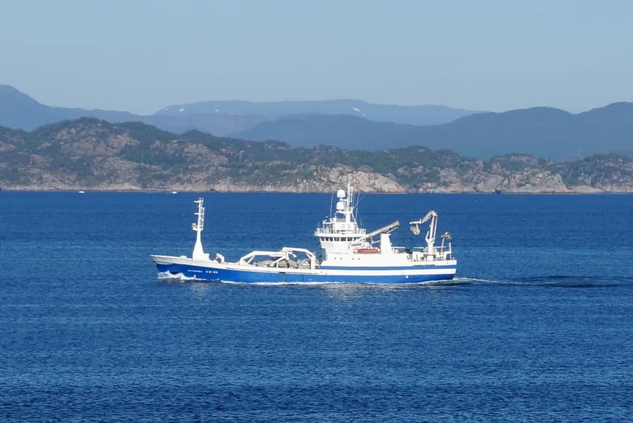 Havdrøn