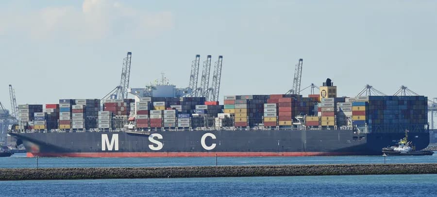MSC London