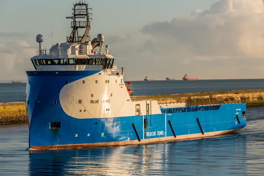 Blue Viking