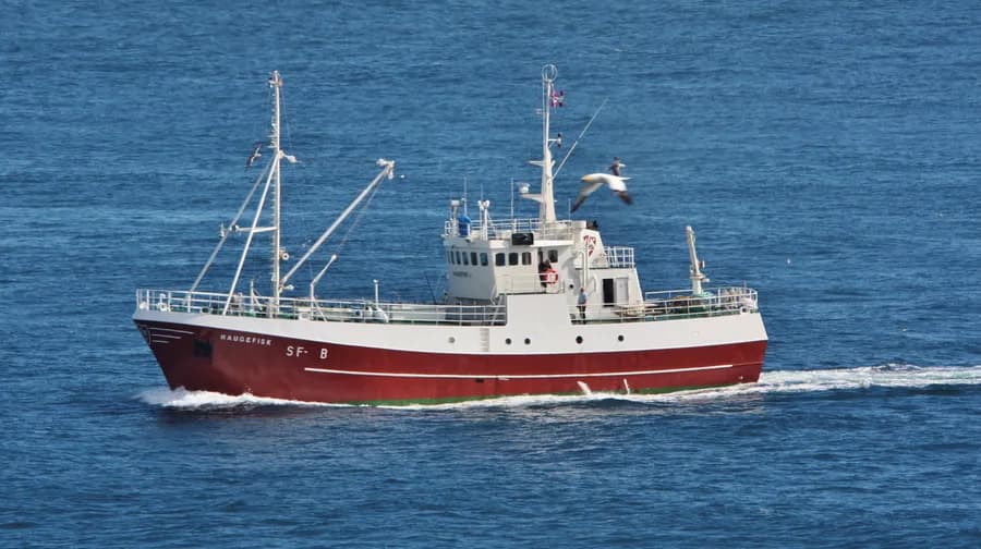 Haugefisk