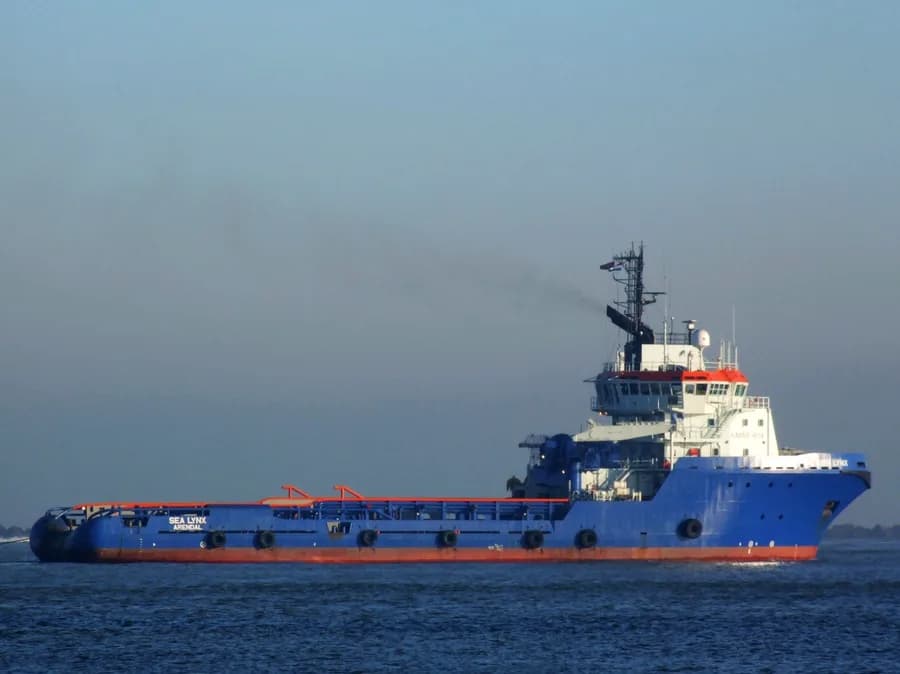 Sea Lynx