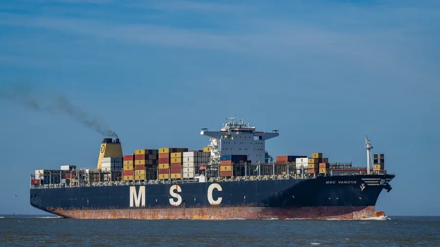 MSC Vandya