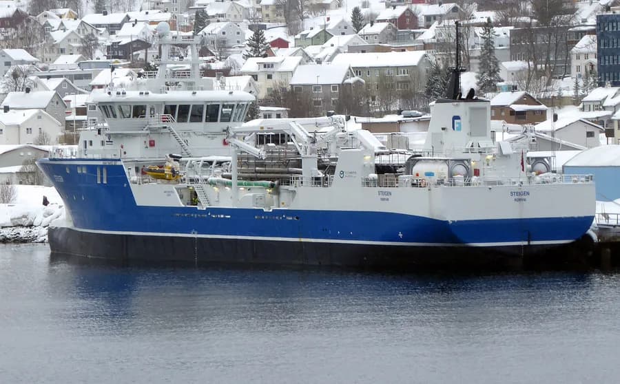 Steigen