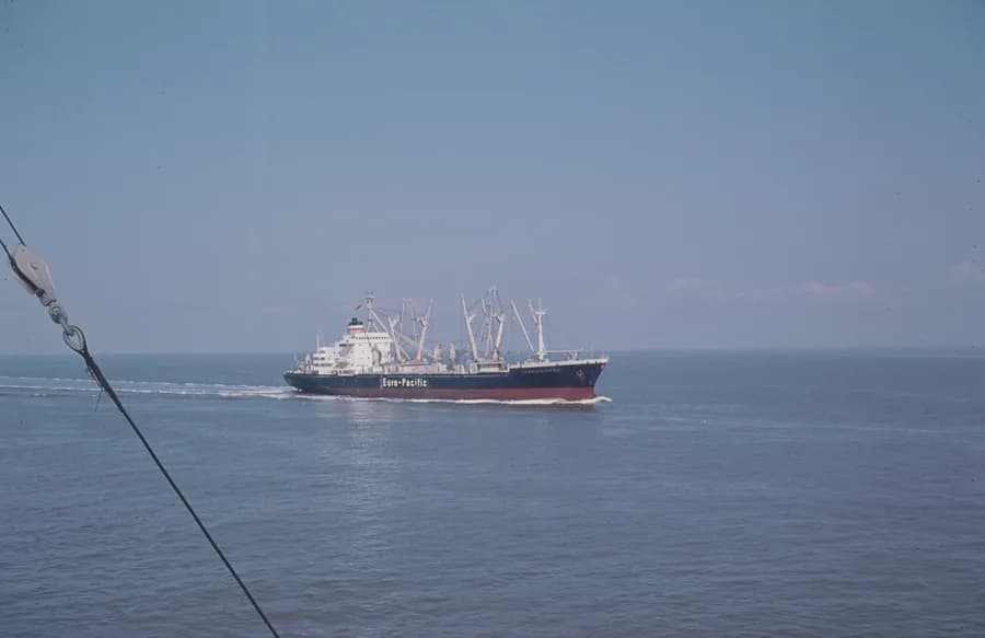 MSC Giulia