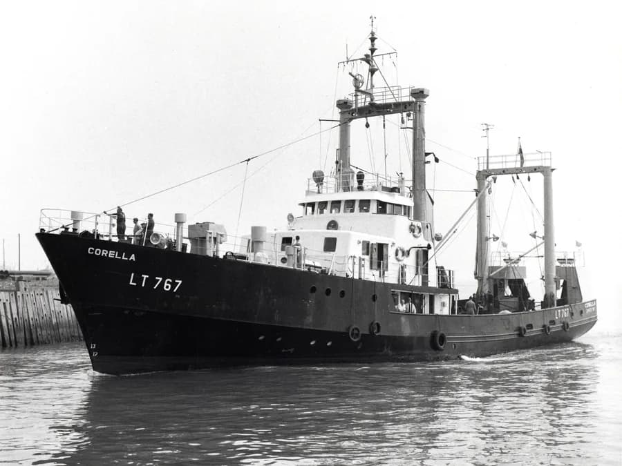 RV Corella