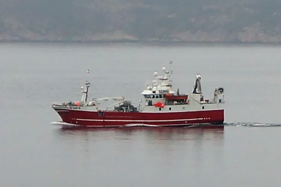 Tunfisk