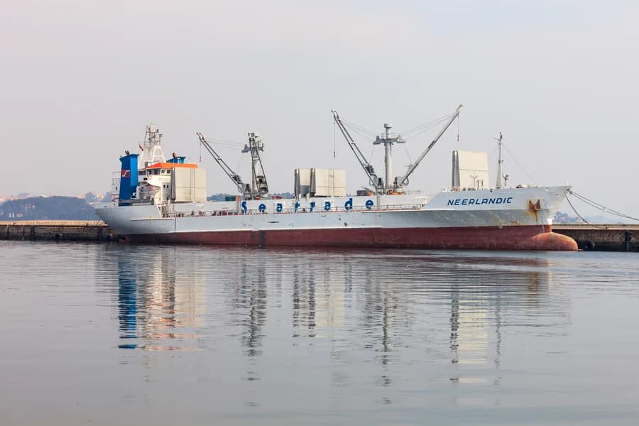 Neerlandic