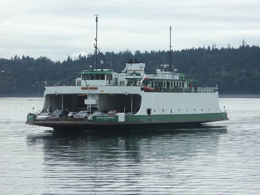 MV Rhododendron