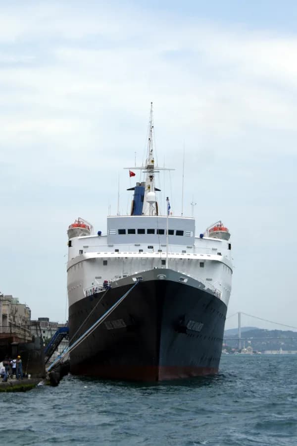 MS Renaissance