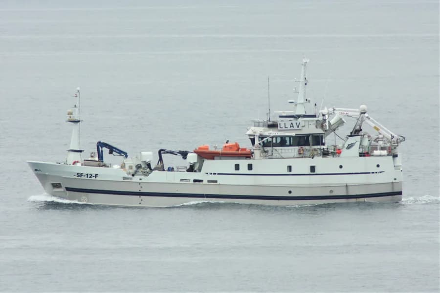 Bluefin
