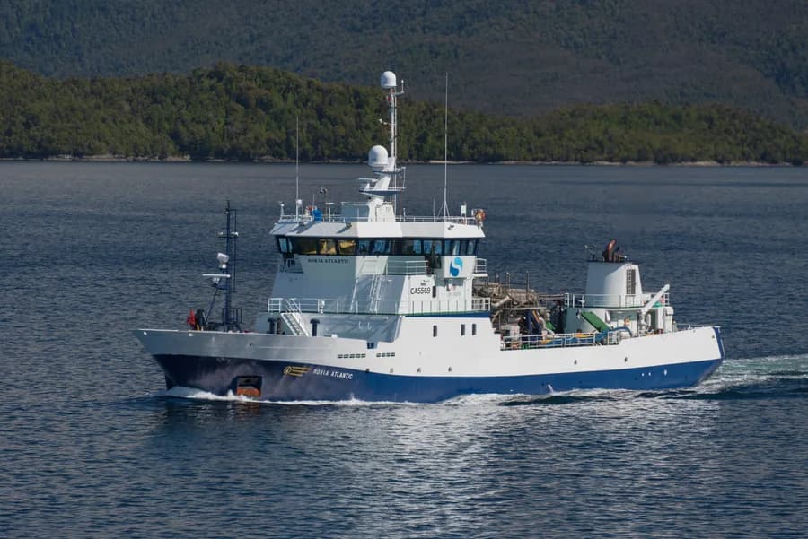 Ronia Atlantic