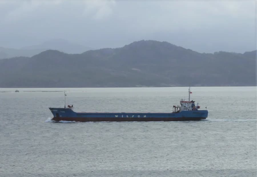 NIOVI S