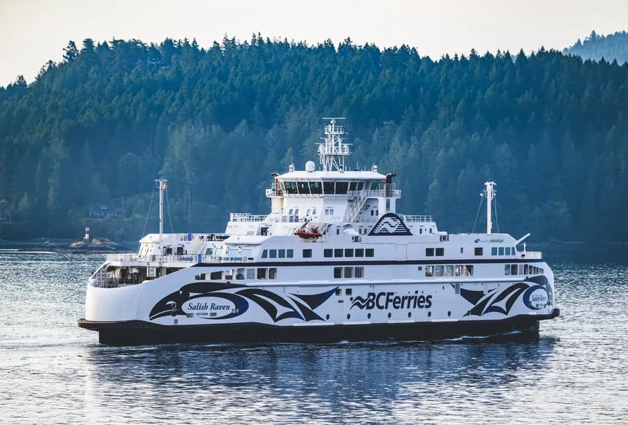 SALISH RAVEN
