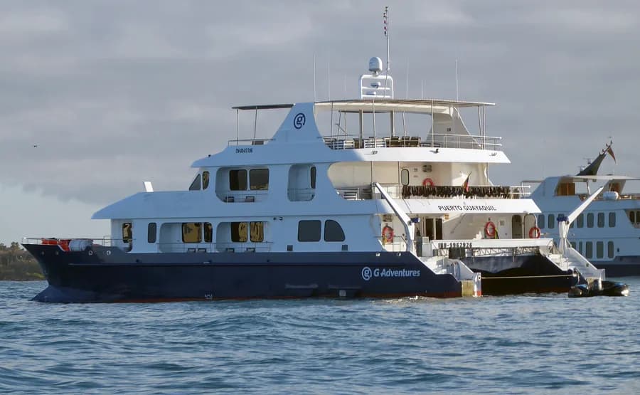 REINA SILVIA VOYAGER