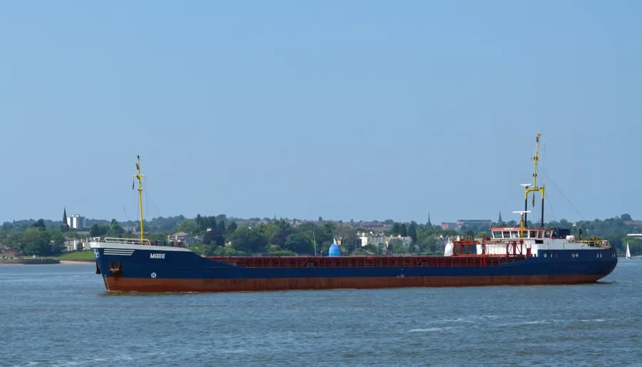 BAYANDOR