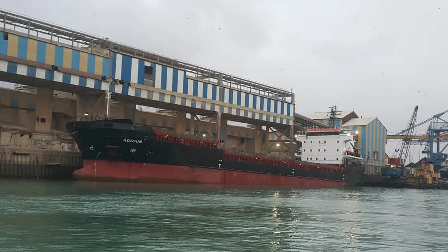 SEVEN AMARANTA