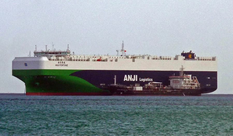 ANJI FORTUNE