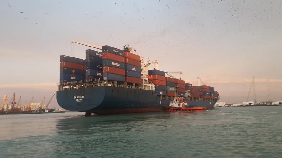 MSC MALENA