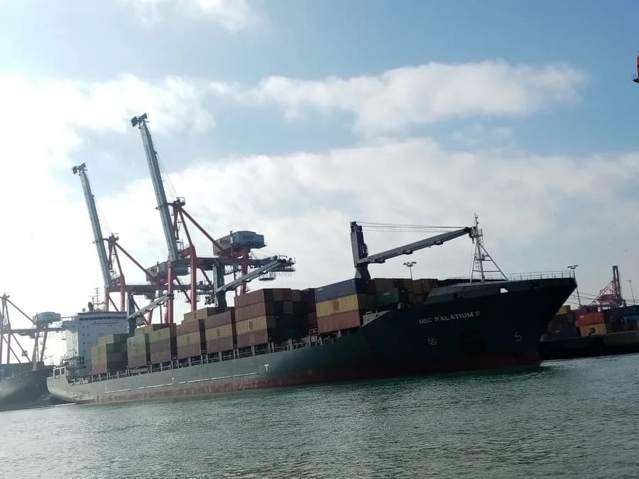 MSC PALATIUM III