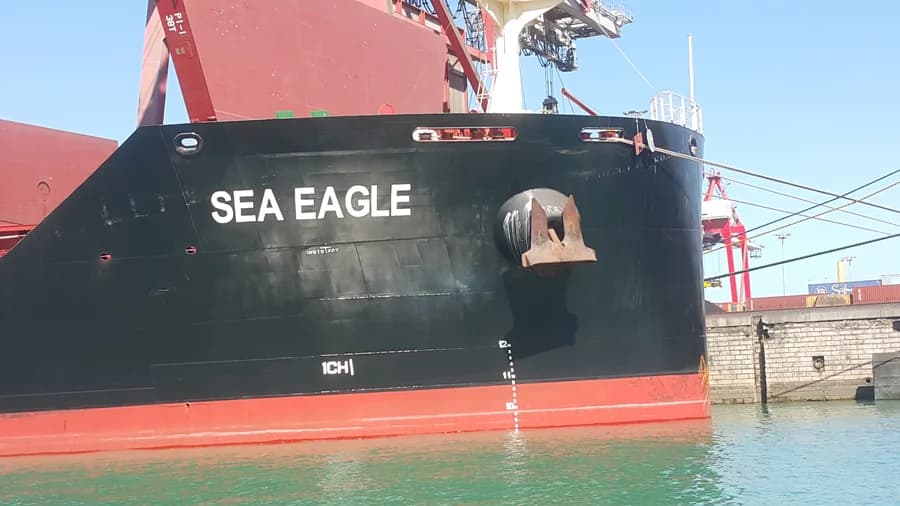 SEA EAGLE