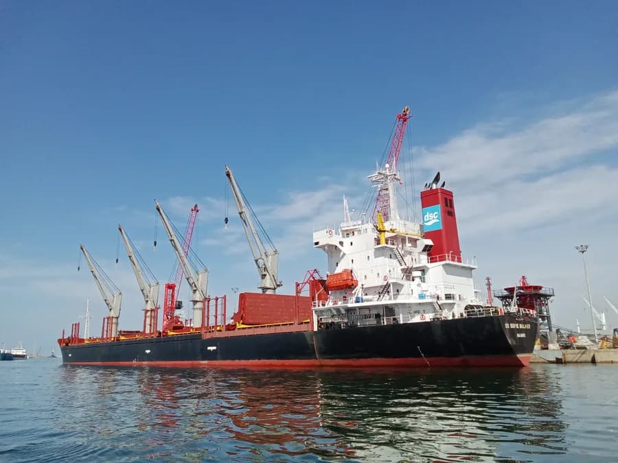 DS SOFIE BULKER