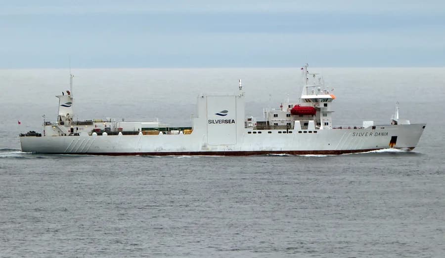SILVER DANIA