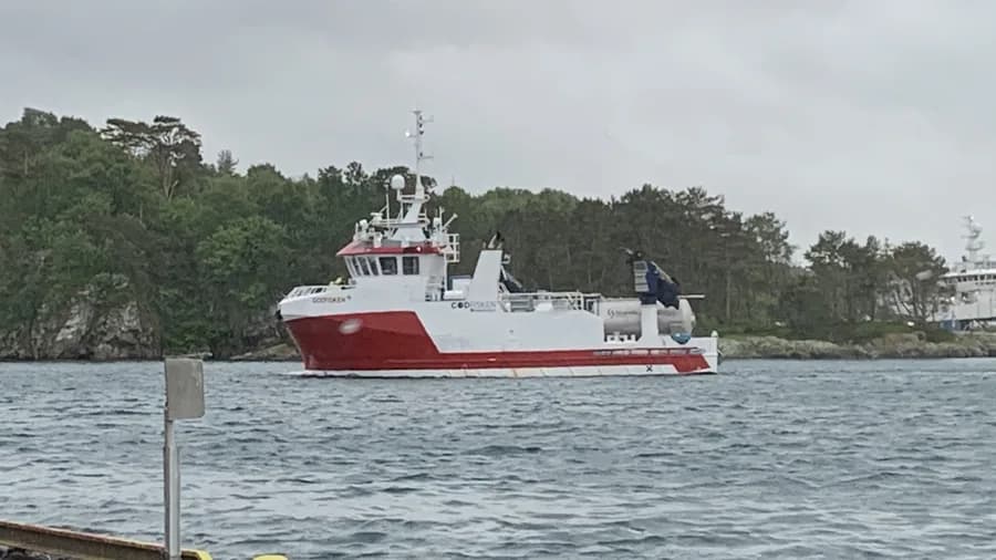 GODFISKEN