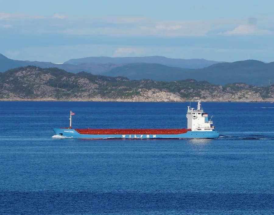 WILSON GIJON
