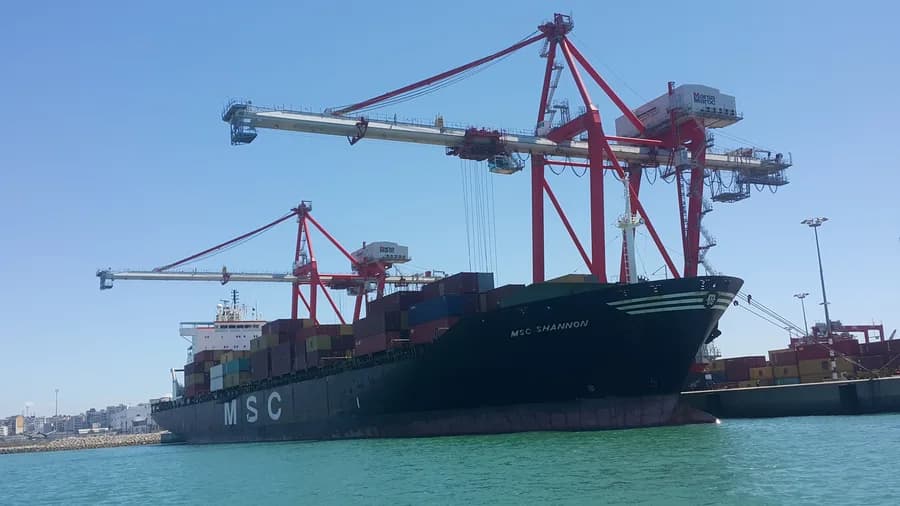 MSC SHANNON III