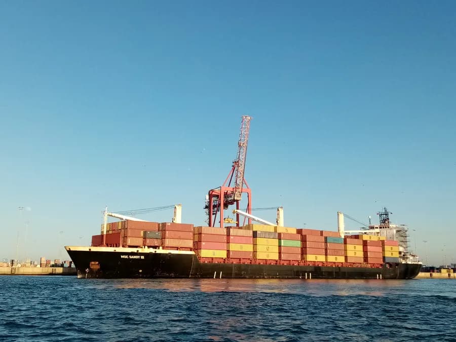 MSC SANDY III