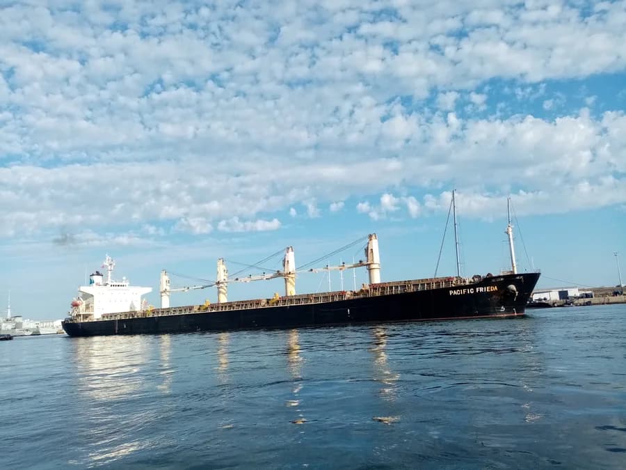 PACIFIC FRIEDA