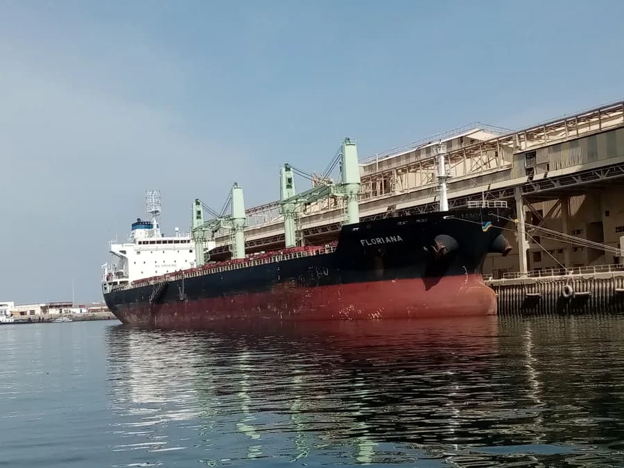 ORIONI