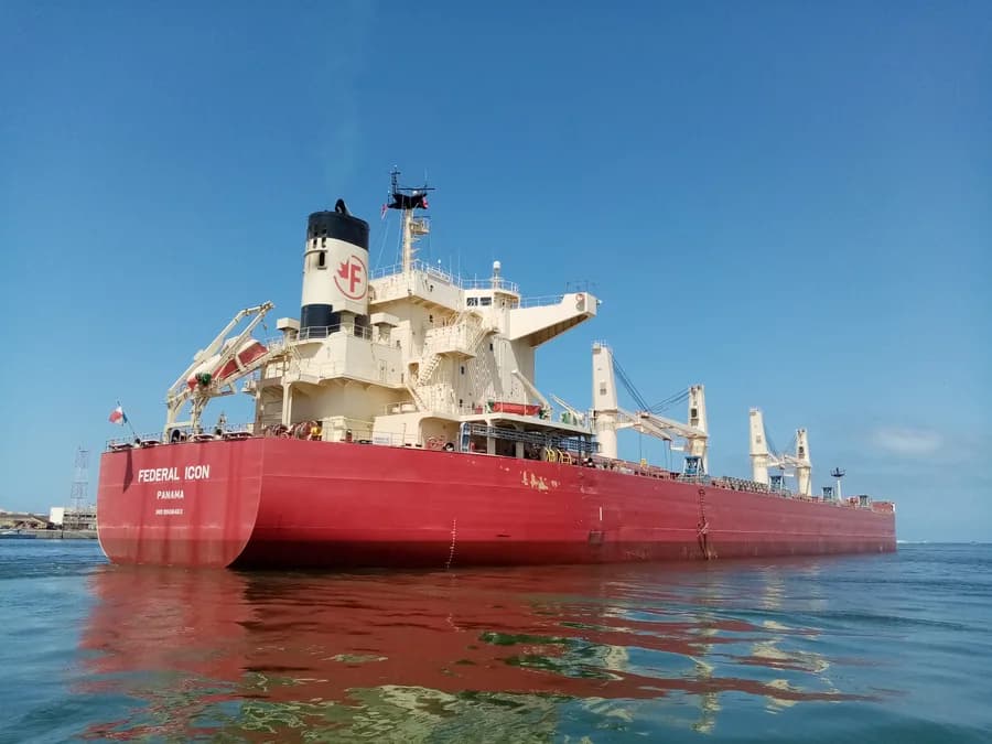 FEDERAL ICON
