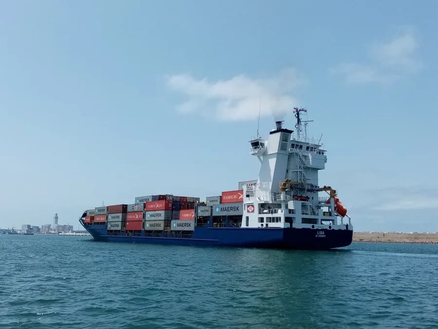 RS LISA