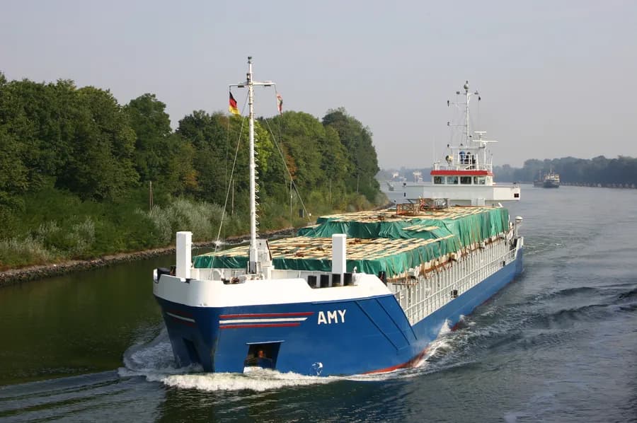 NS ELI