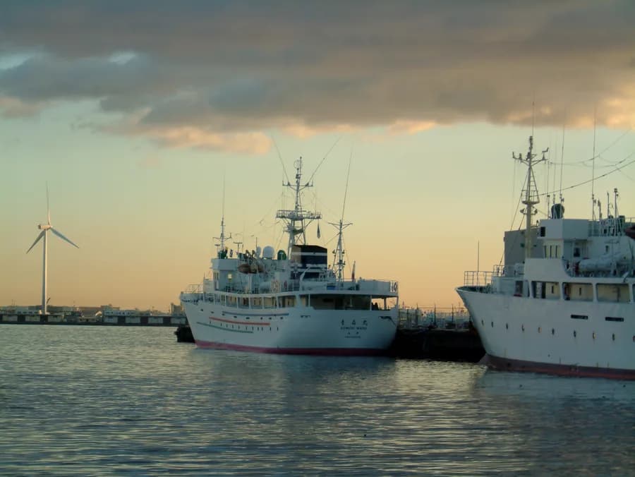 AOMORI MARU