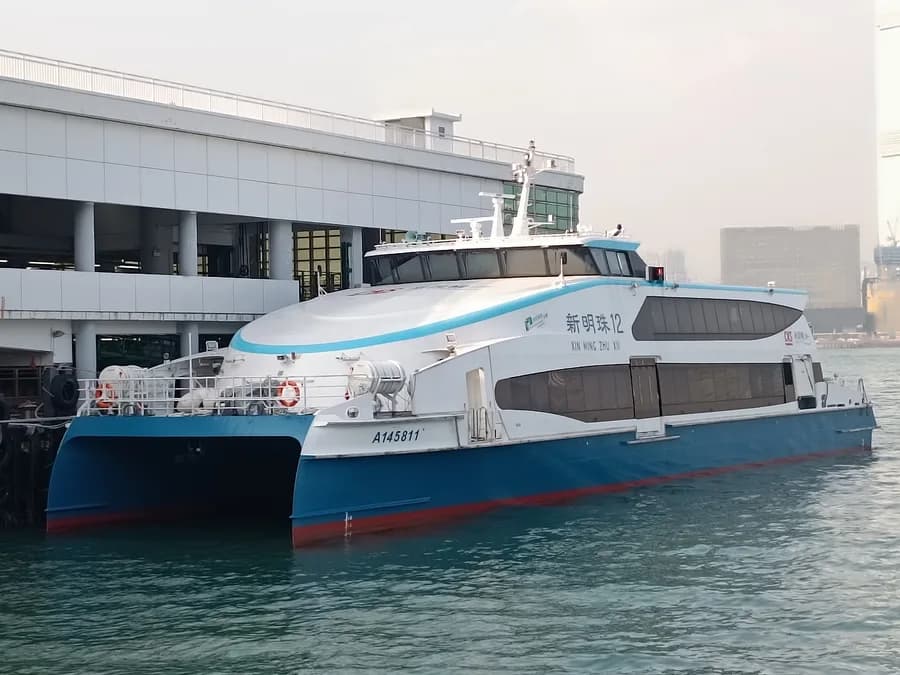 Xin Ming Zhu XII