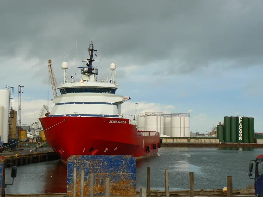 Skandi Marstein