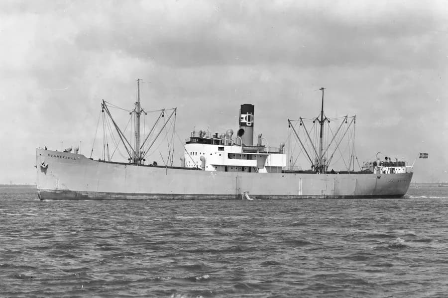 IMO 5295208