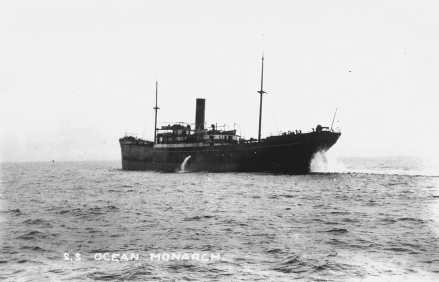 Ocean Monarch