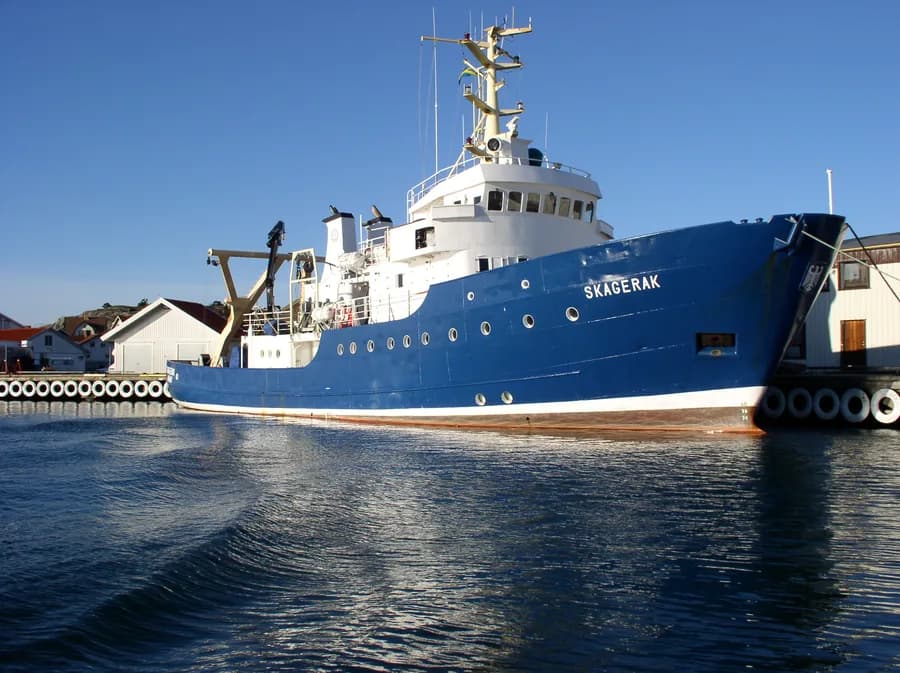 Botnia Surveyor